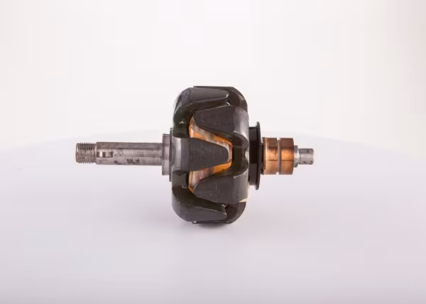 BOSCH Rotore, Alternatore
