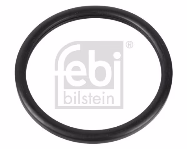 FEBI BILSTEIN Guarnizione, Termostato