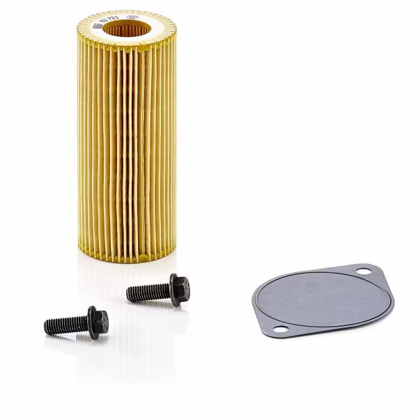 MANN-FILTER Filtro idraulico, Cambio automatico