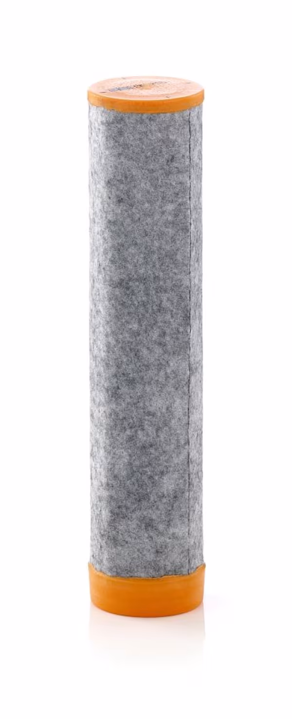 MANN-FILTER Filtro aria secondaria