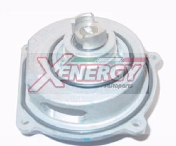 AP XENERGY Pompa dell’acqua, raffreddamento motore