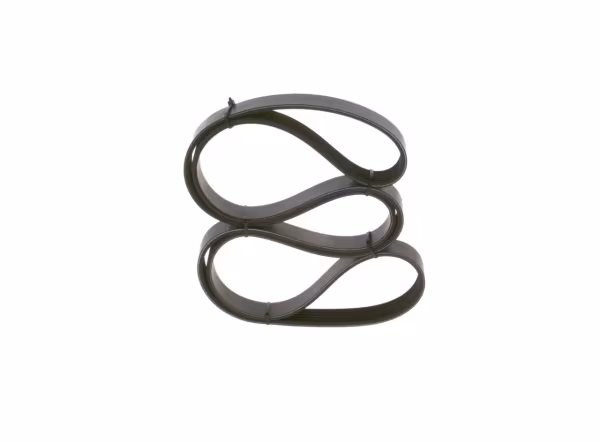 BOSCH Cinghia Poly-V