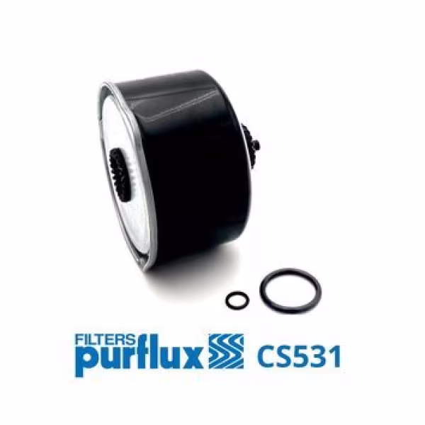 PURFLUX Filtro carburante