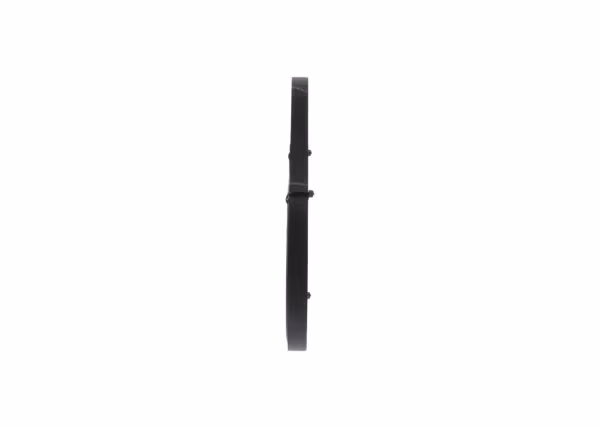 BOSCH Cinghia Poly-V