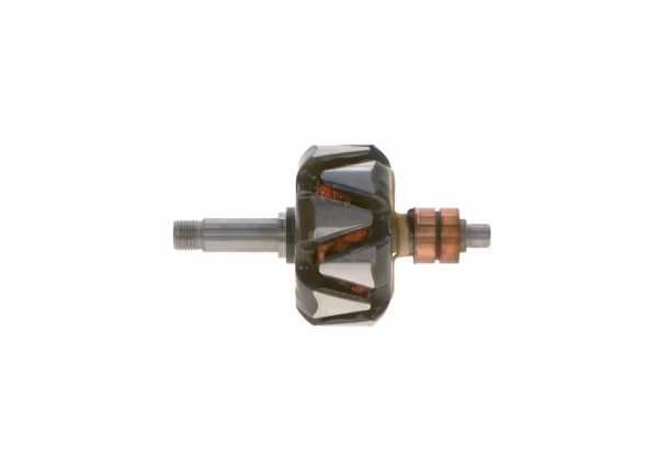 BOSCH Rotore, Alternatore