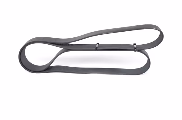 BOSCH Cinghia Poly-V