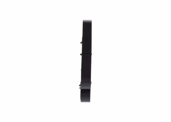 BOSCH Cinghia Poly-V