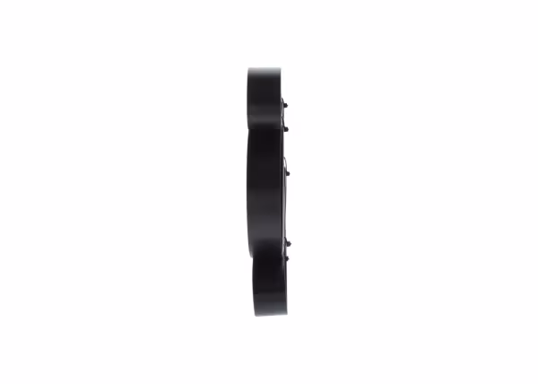 BOSCH Cinghia Poly-V