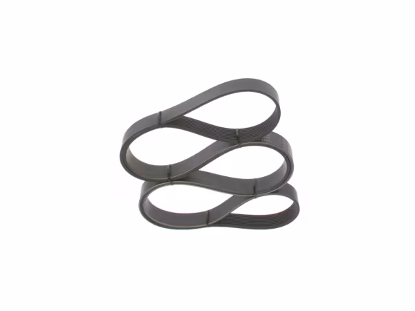 BOSCH Cinghia Poly-V