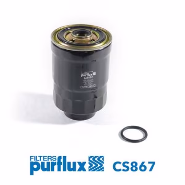PURFLUX Filtro carburante