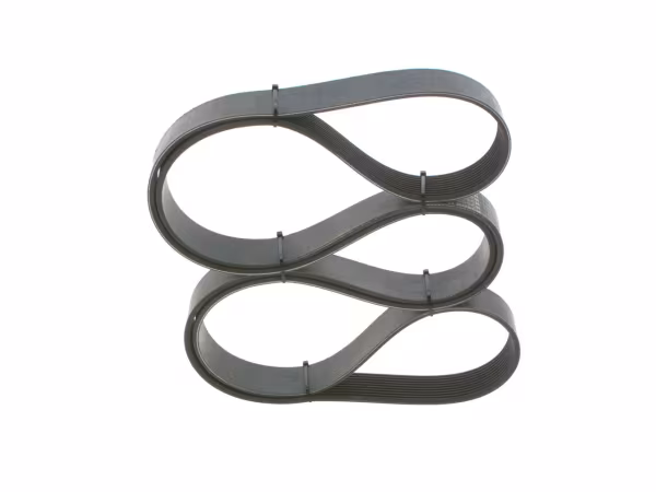 BOSCH Cinghia Poly-V