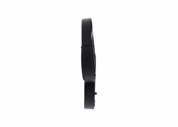 BOSCH Cinghia Poly-V