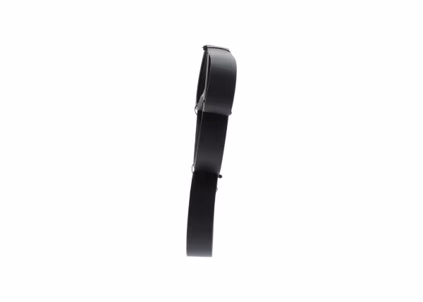 BOSCH Cinghia Poly-V