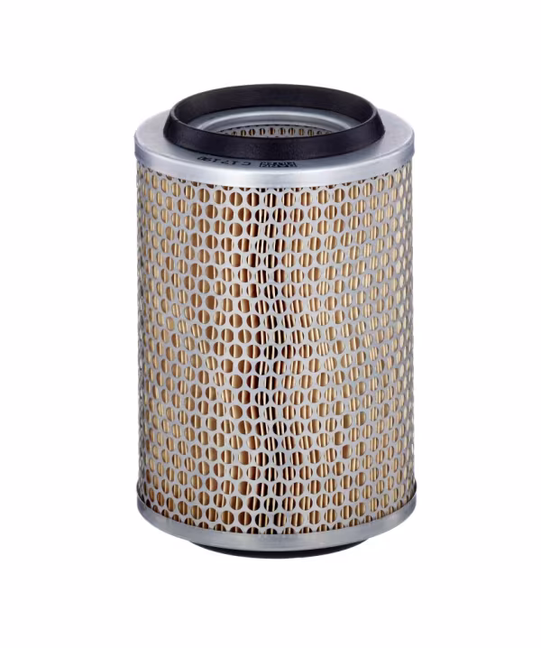 MANN-FILTER Filtro aria