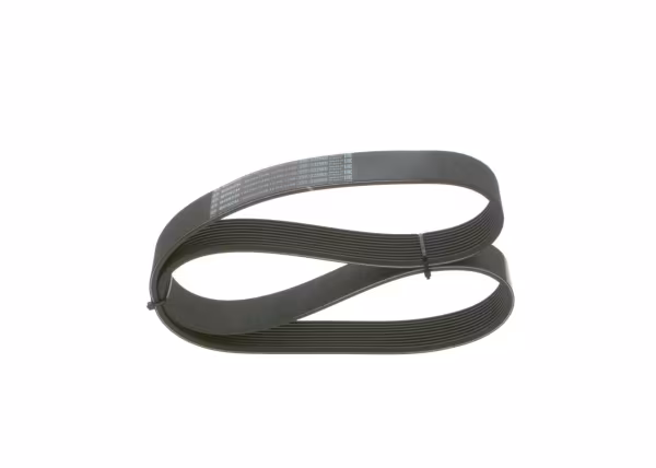 BOSCH Cinghia Poly-V