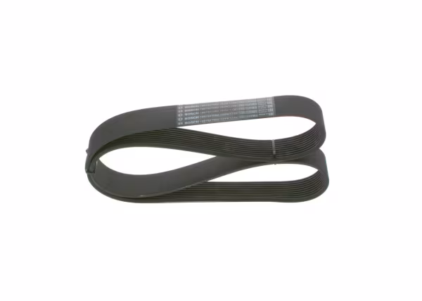 BOSCH Cinghia Poly-V