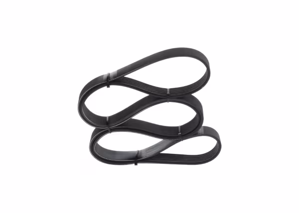BOSCH Cinghia Poly-V