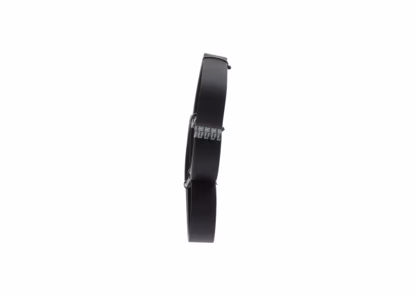 BOSCH Cinghia Poly-V