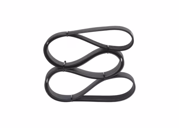 BOSCH Cinghia Poly-V