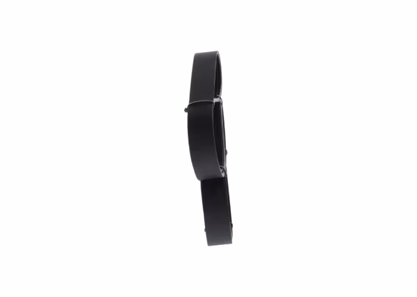 BOSCH Cinghia Poly-V