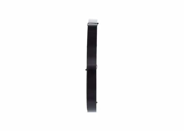 BOSCH Cinghia Poly-V