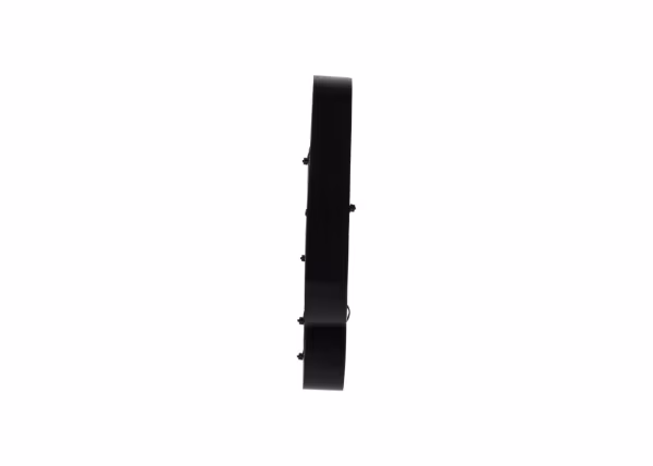 BOSCH Cinghia Poly-V