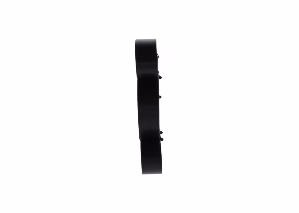BOSCH Cinghia Poly-V