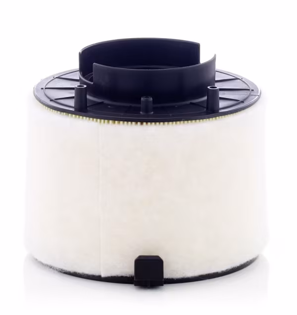 MANN-FILTER Filtro aria