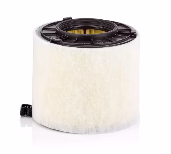 MANN-FILTER Filtro aria