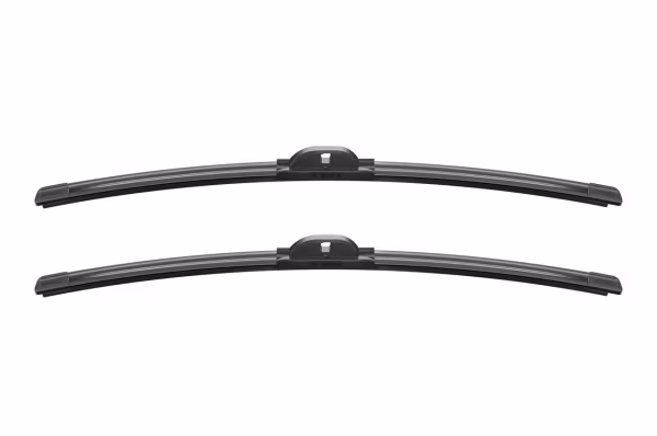BOSCH SPAZZOLA TERGI