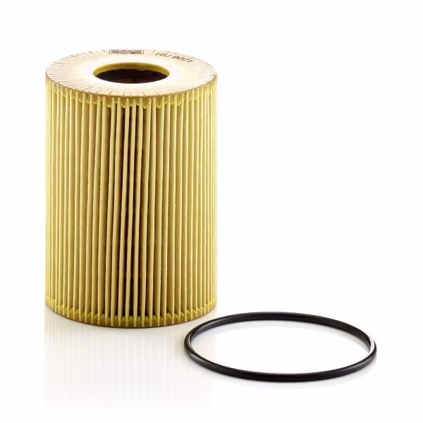 MANN-FILTER Filtro olio