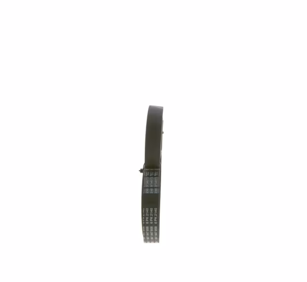 BOSCH Cinghia Poly-V
