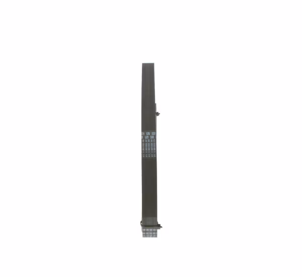 BOSCH Cinghia Poly-V
