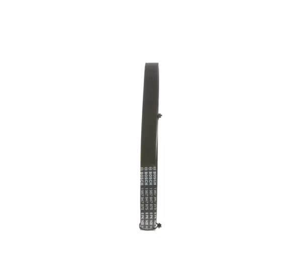 BOSCH Cinghia Poly-V