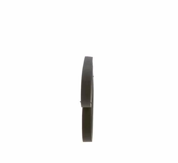 BOSCH Cinghia Poly-V