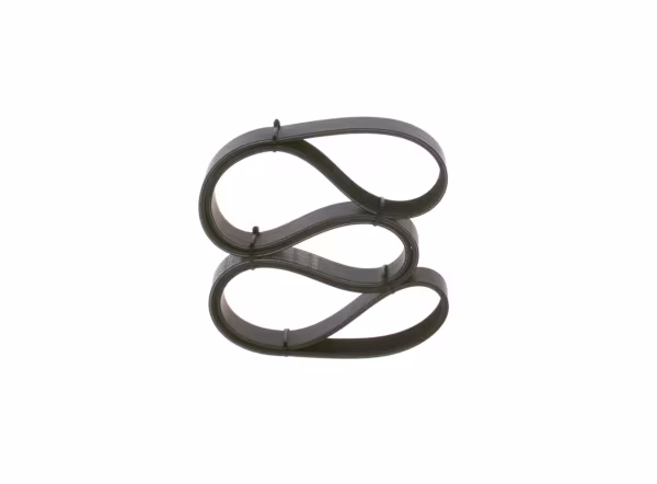 BOSCH Cinghia Poly-V