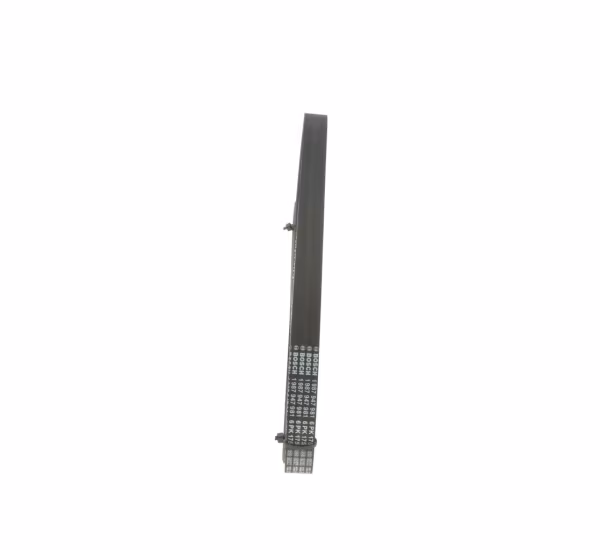 BOSCH Cinghia Poly-V