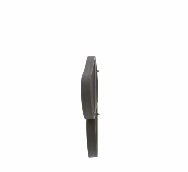 BOSCH Cinghia Poly-V
