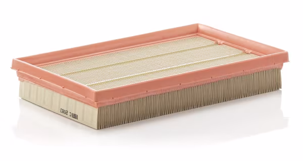 Filtro aria