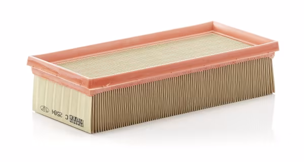 MANN-FILTER Filtro aria