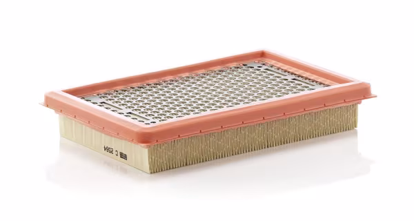 MANN-FILTER Filtro aria