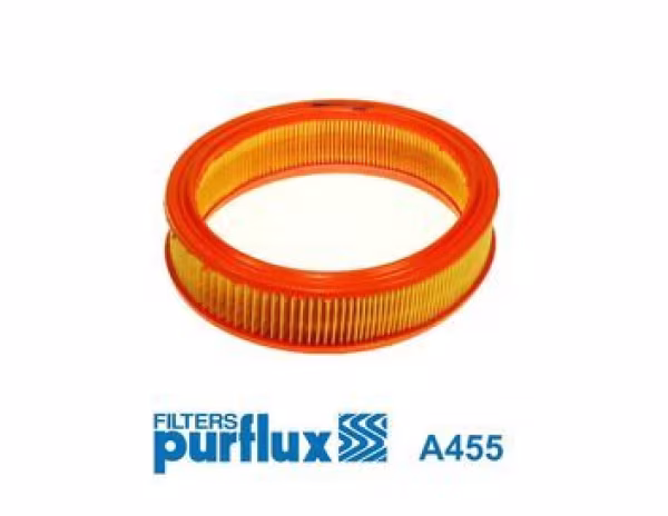 PURFLUX Filtro aria