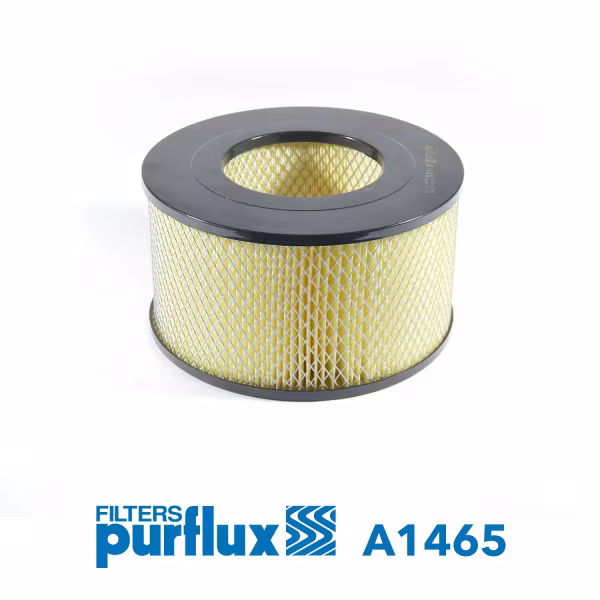 PURFLUX Filtro aria