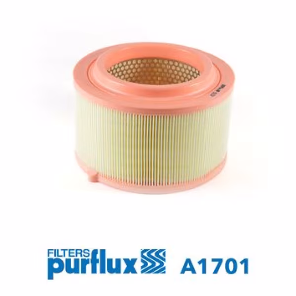 PURFLUX Filtro aria