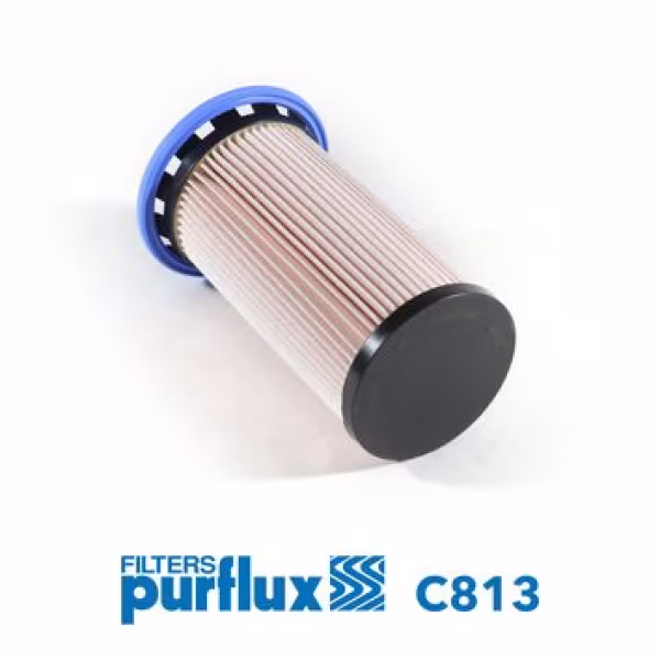 PURFLUX Filtro carburante