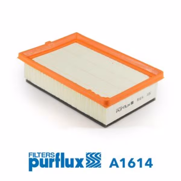 PURFLUX Filtro aria