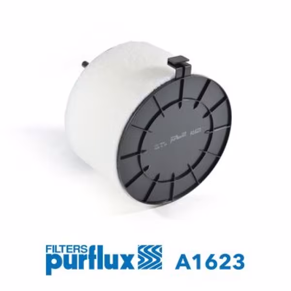 PURFLUX Filtro aria