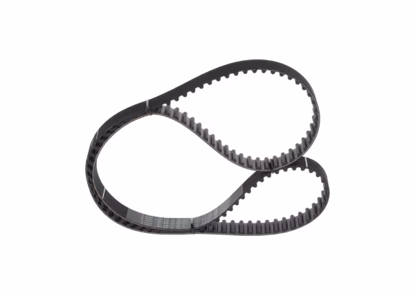 BOSCH Cinghia dentata