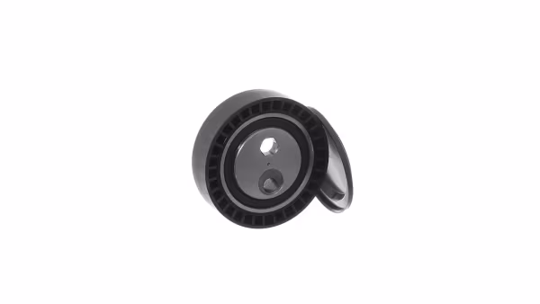 SKF Tendicinghia, Cinghia Poly-V