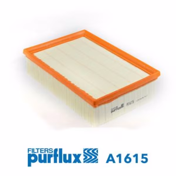 PURFLUX Filtro aria